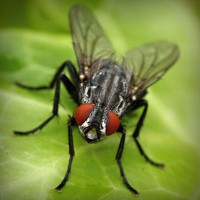 /album/cirugia-plastica/photolia-a01-jpg/