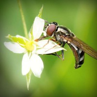 /album/cirugia-plastica/photolia-a02-jpg/