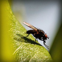 /album/cirugia-plastica/photolia-a04-jpg/