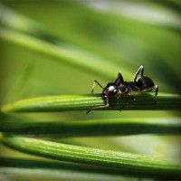 /album/cirugia-plastica/photolia-a05-jpg/