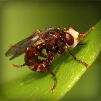 /album/cirugia-plastica/photolia-a06-jpg/